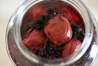 梅干しの作り方／漬け方