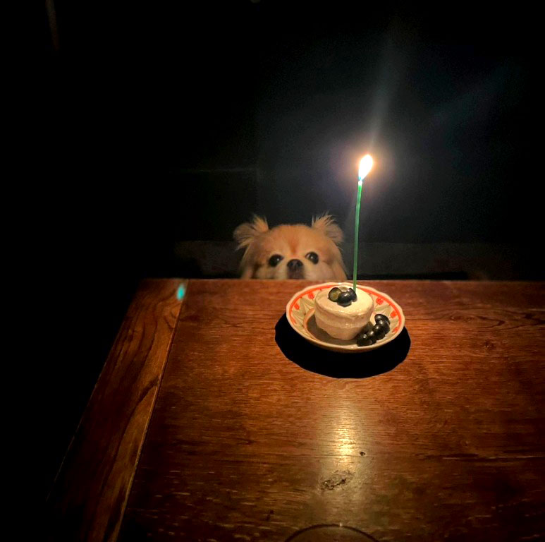 ちゃこ