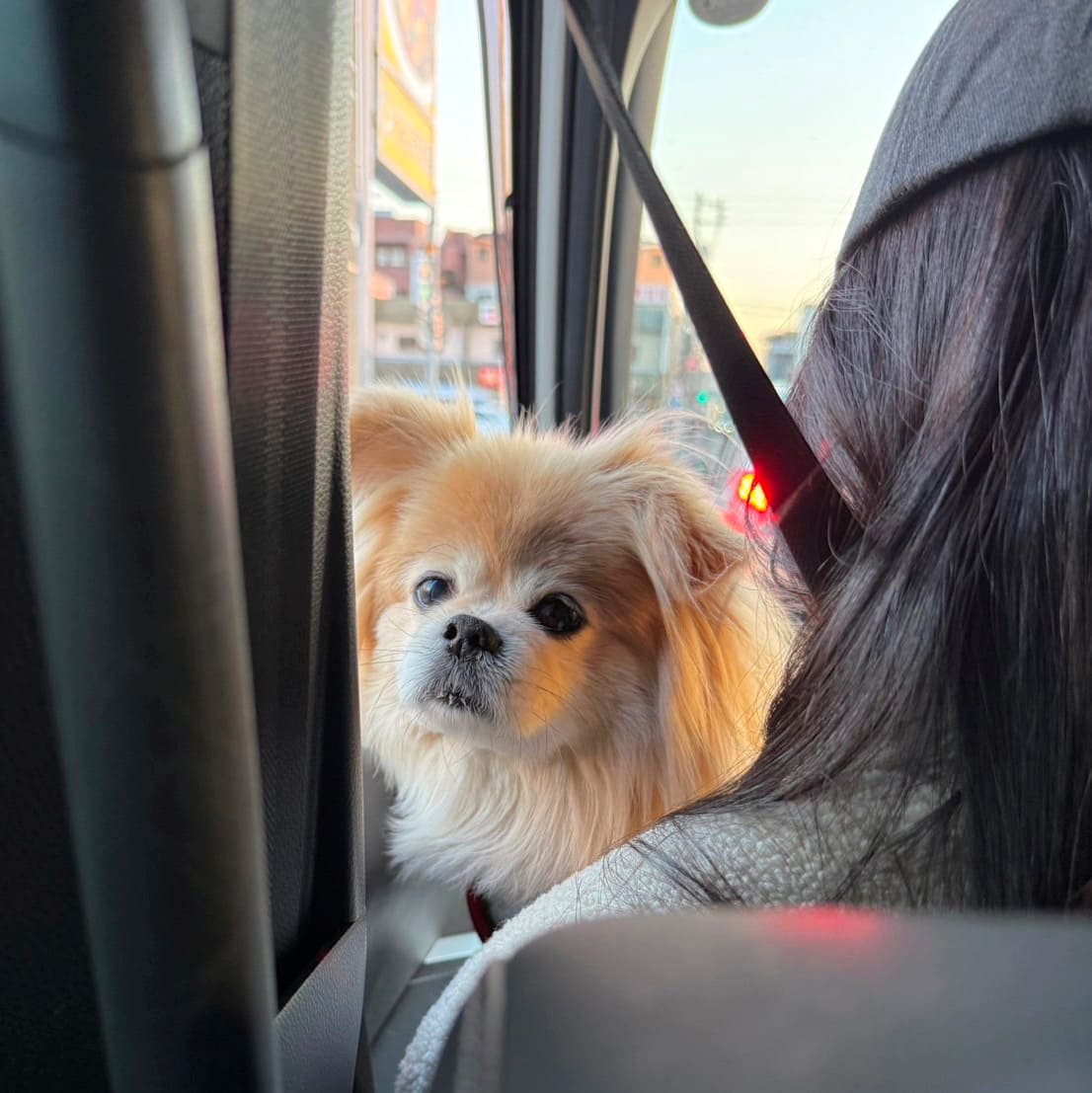 ちゃこ