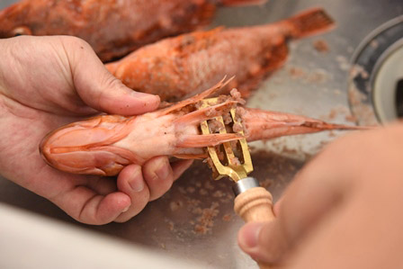 魚の煮付けの基本のレシピ 作り方 白ごはん Com