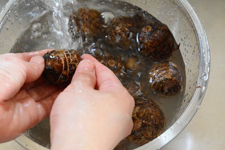 里芋の煮物のレシピ 作り方 白ごはん Com