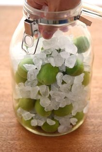 梅シロップの写真