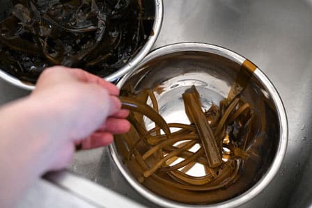 茎と葉を分ける